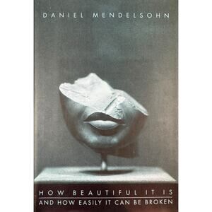 How Beautiful It Is and How Easily It Can Be Broken by Daniel Men... (Hardcover)